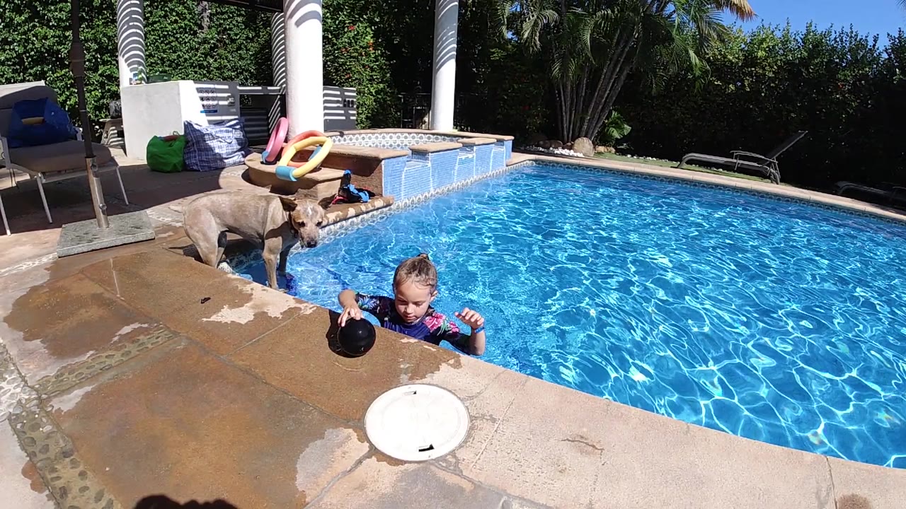 At the start, a young child stands near the front edge of a blue swimming pool holding a dark frisbee while a light-colored dog watches from the wet stone deck.