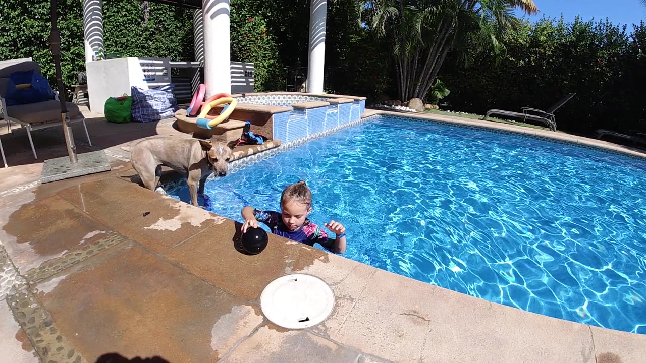 The child remains at the pool edge with the dark frisbee raised slightly, while the dog stands on the left deck beside ripples and wet stone.