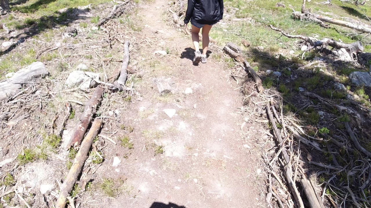 Overhead drone view of hiker in dark clothing and backpack on dirt path, fallen logs visible to the right of the trail.