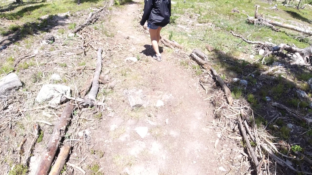 Top-down drone view of a hiker in dark clothing on a dirt and rock mountain trail; fallen branches line the right edge of the path; no face visible from this altitude.