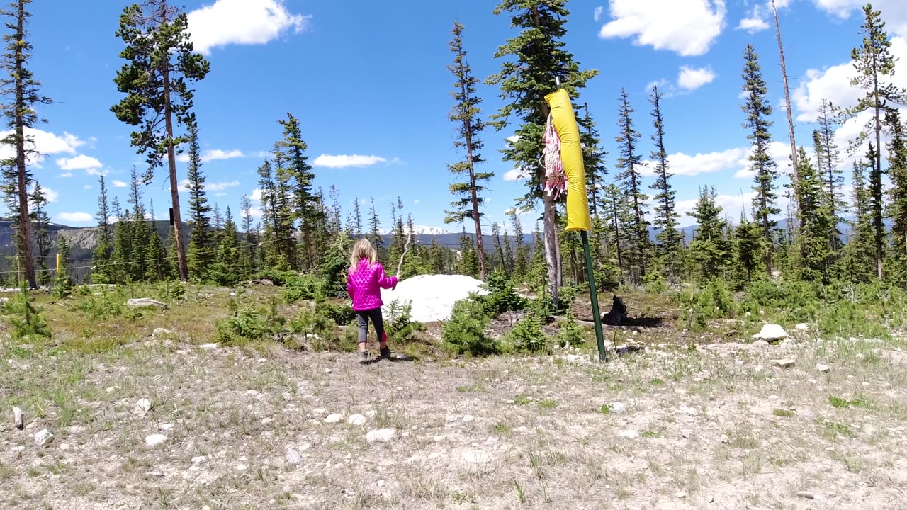 A blonde child in a pink jacket stands in the midground near a white snow patch, surrounded by small evergreens and tall conifer trunks.