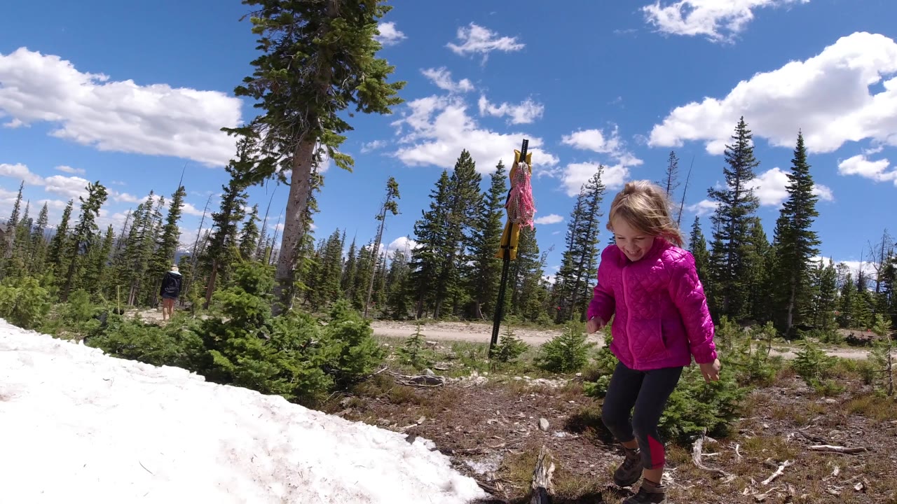 A young girl in a bright pink jacket steps near the edge of a snowbank with evergreen trees, a dirt road, and blue sky behind her.