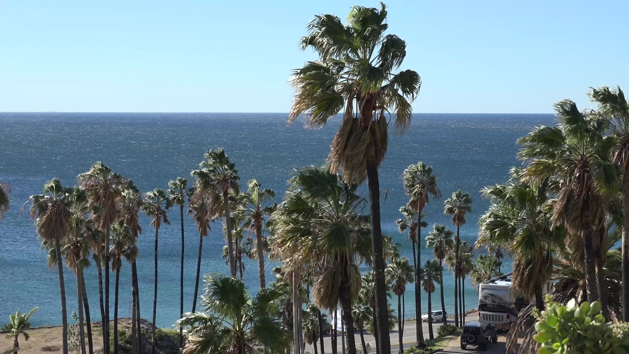 Malibu beach campsite view with tall palms in front of a blue ocean horizon, parked camper and vehicles low at right, and no visible people.