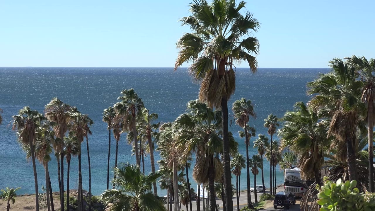 Malibu coastal frame with layered palms across the foreground, deep blue ocean across the background, and a camper and dark vehicle near the beach road, no visible people.
