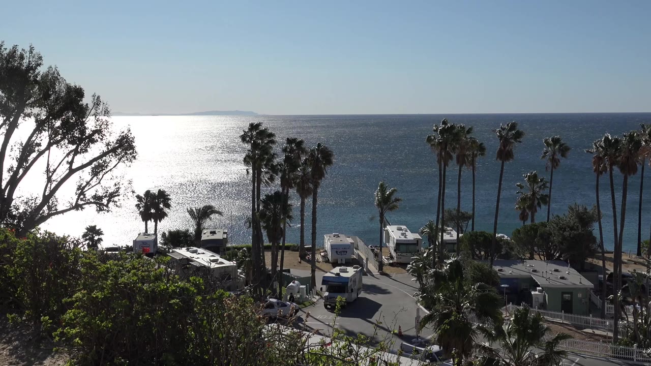 Malibu shoreline view with a bright reflection on the water, tall palm trunks in the midground, RVs along the road, and no visible people.
