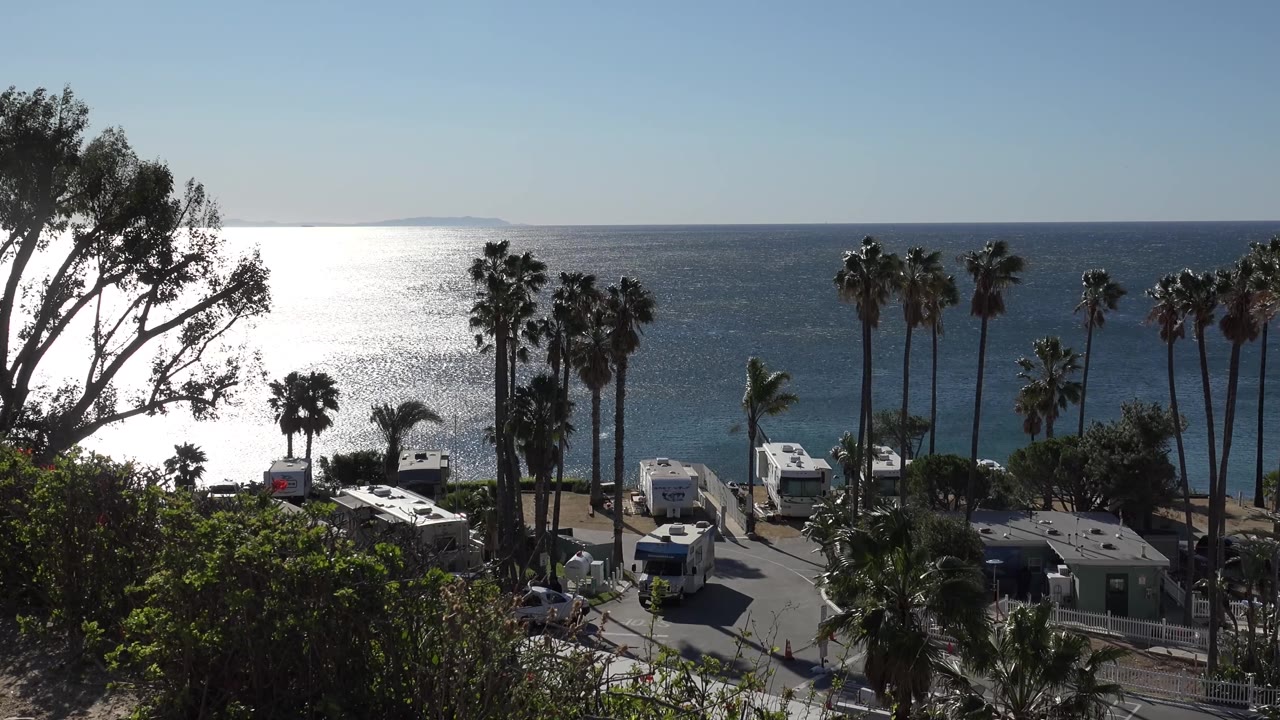 Malibu beach-camp view framed by dark foreground branches, with RVs below, palms against the ocean, strong water glare, and no visible people.