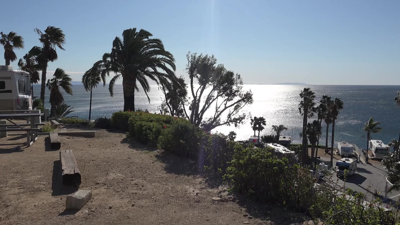 Palm trees and shrubs on a dry overlook above a bright ocean horizon.