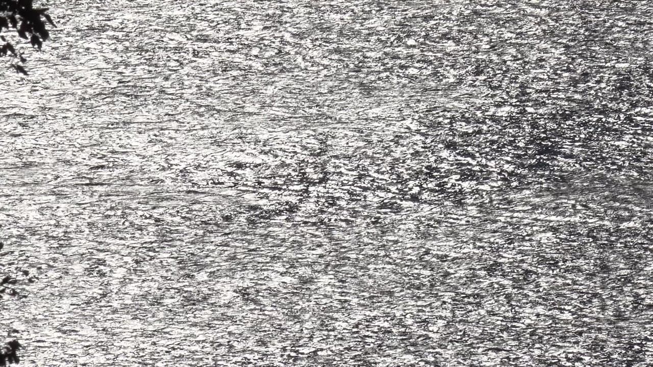Bright rippled ocean surface with dark leaves at the upper edge.