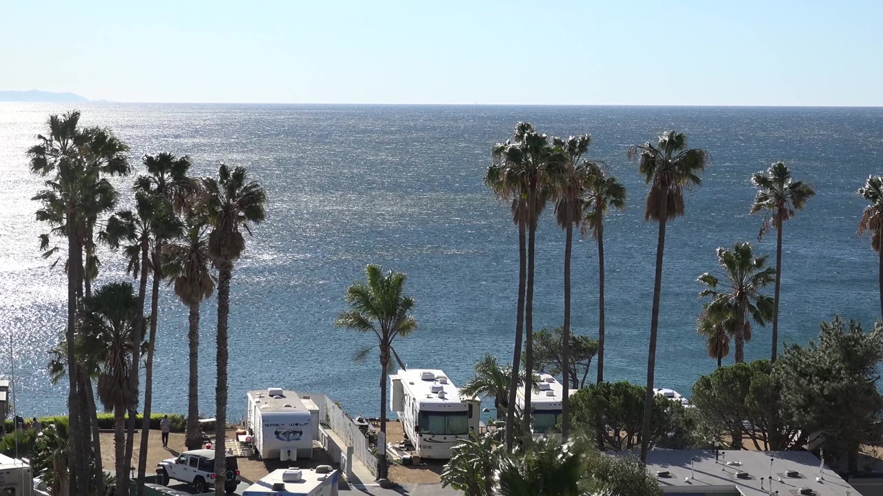 Third frame keeps the white campers low in the composition while tall Malibu palm trunks rise into a pale blue sky over the ocean, with no visible people.