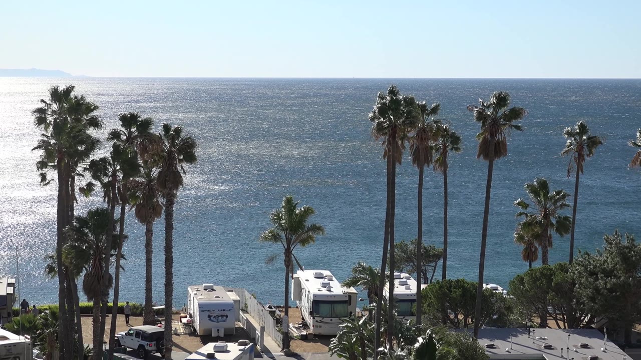 Oceanfront campers beneath palms in bright daylight.