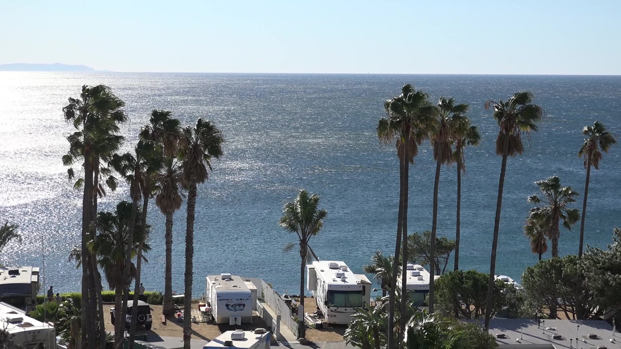 Malibu view with a denser cluster of palms at left, several taller palms at right, white RVs near the lower edge, textured blue water, and no visible people.