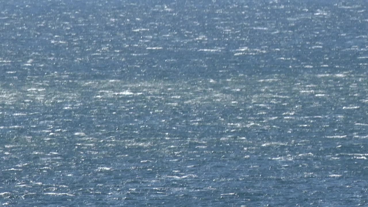 A dense pattern of ripples crosses the Malibu sea surface, with silver light flecks and no visible people.