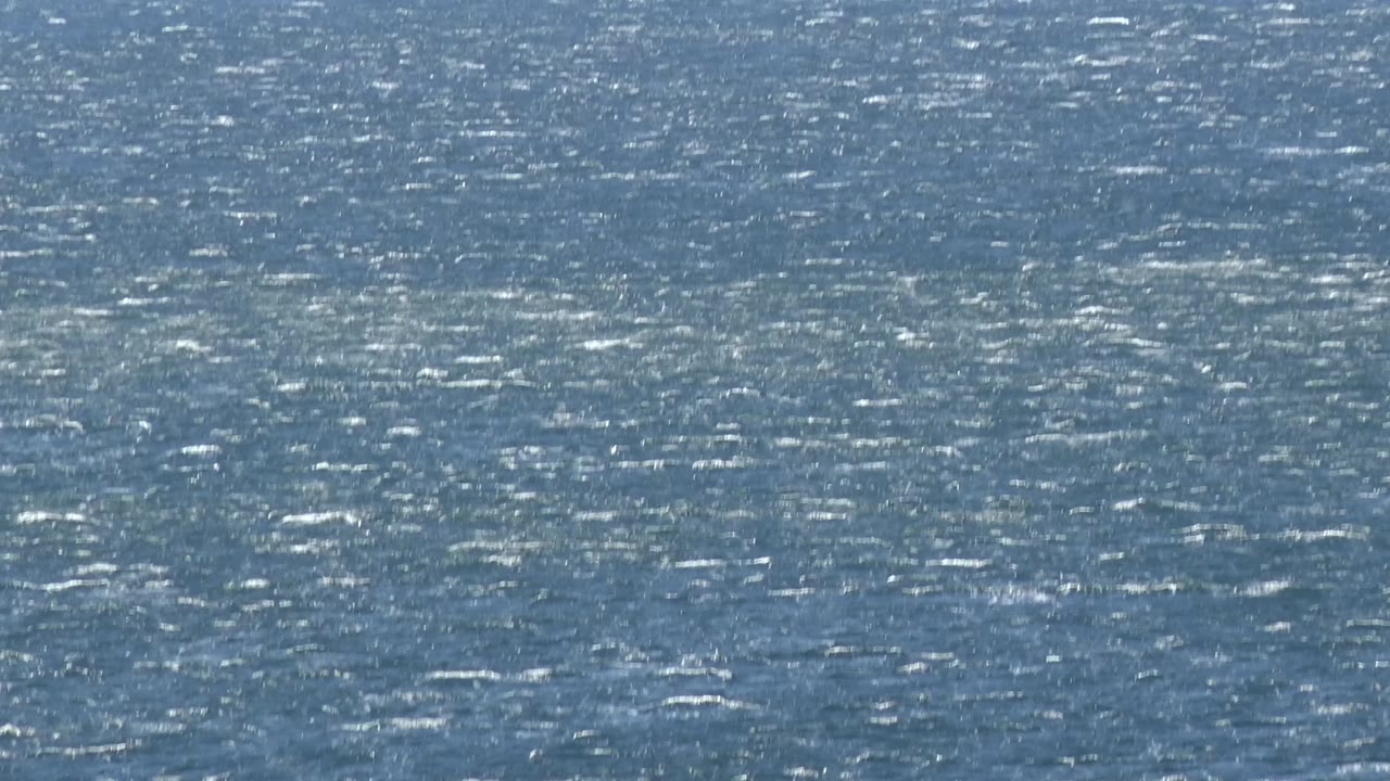 Fine ripples spread across the blue Malibu water, with the whole frame occupied by ocean and no visible people.