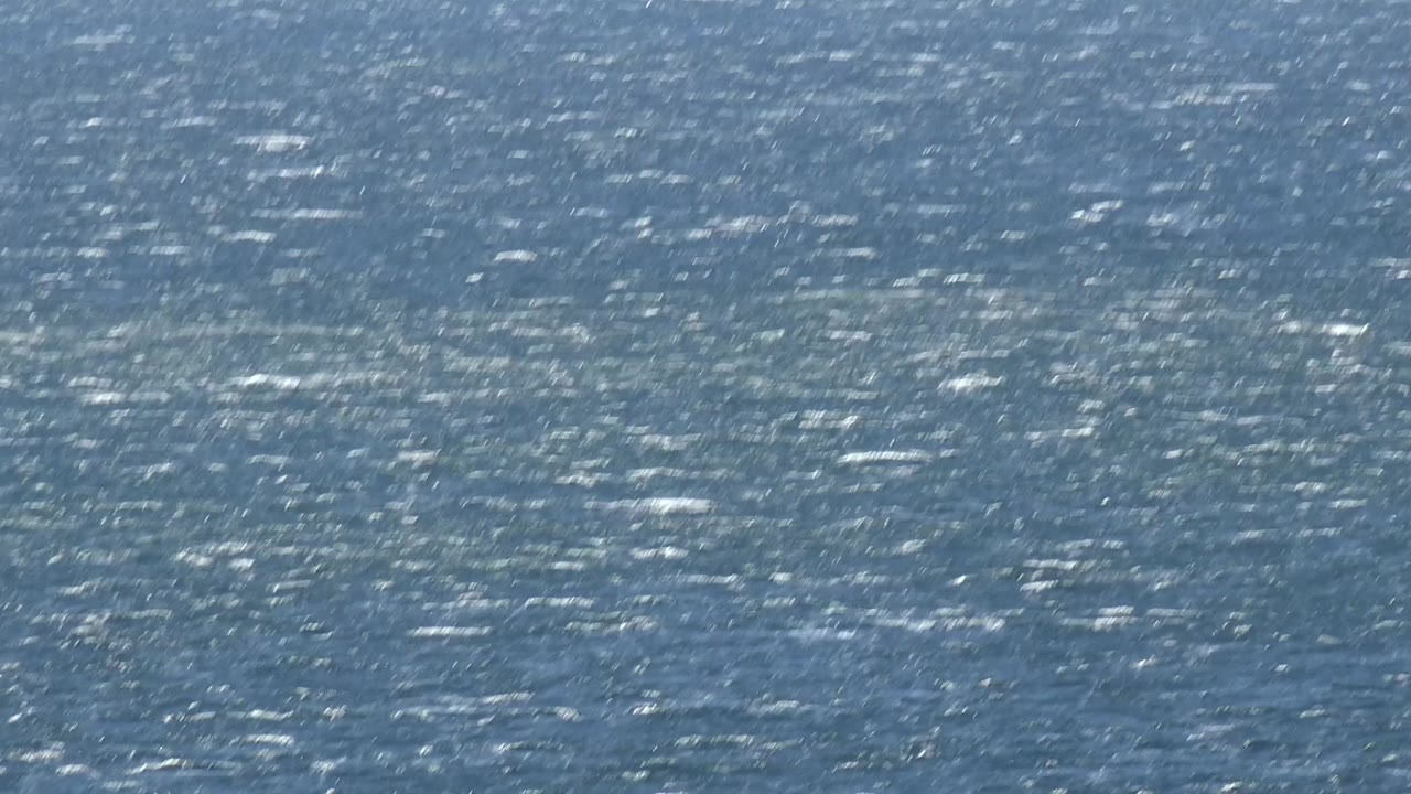 Blue ocean surface with small ripples and bright highlights.