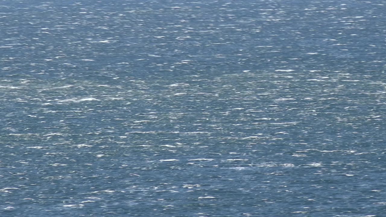 Malibu ocean ripples fill the frame with denser white highlights near the upper area and no visible people or structures.