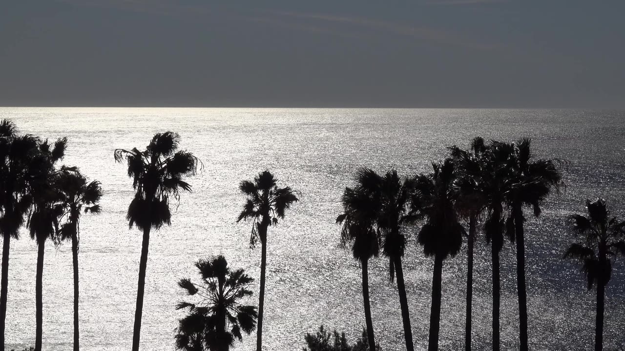 Tall palm silhouettes sit in front of bright ocean waves in Malibu, California, with the left trees more prominent and no visible people.
