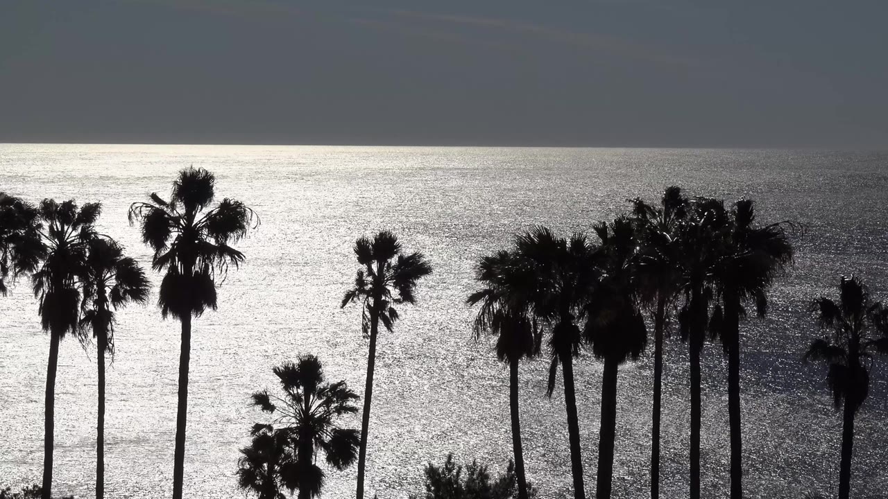 At 0:02 in Malibu, palm trees remain in dark silhouette while the bright ocean fills the background beneath a heavy gray sky, with no visible people.