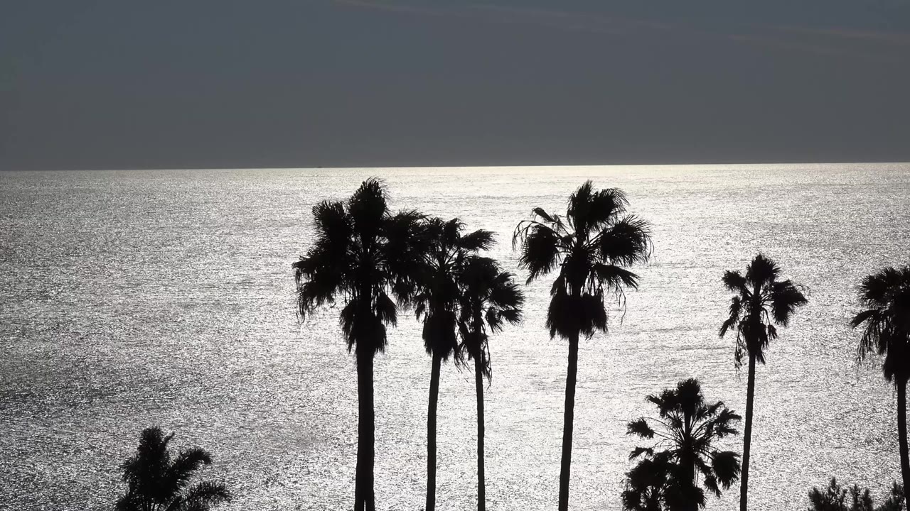 Opening frame of Malibu palm silhouettes in front of shimmering ocean water and a dark gray sky band, with no visible people.