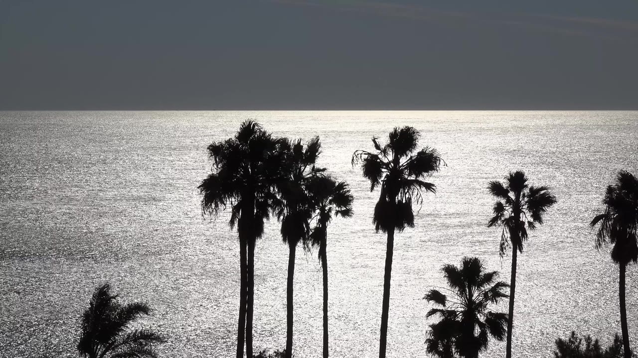 Dark palm silhouettes sit lower in the frame against shimmering ocean water in Malibu, California, with no visible people at 0:02.