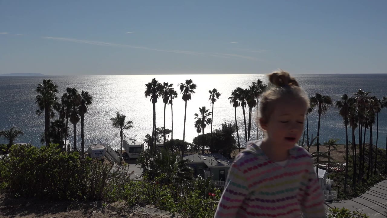 Girl partly centered before bright ocean and palm trees.