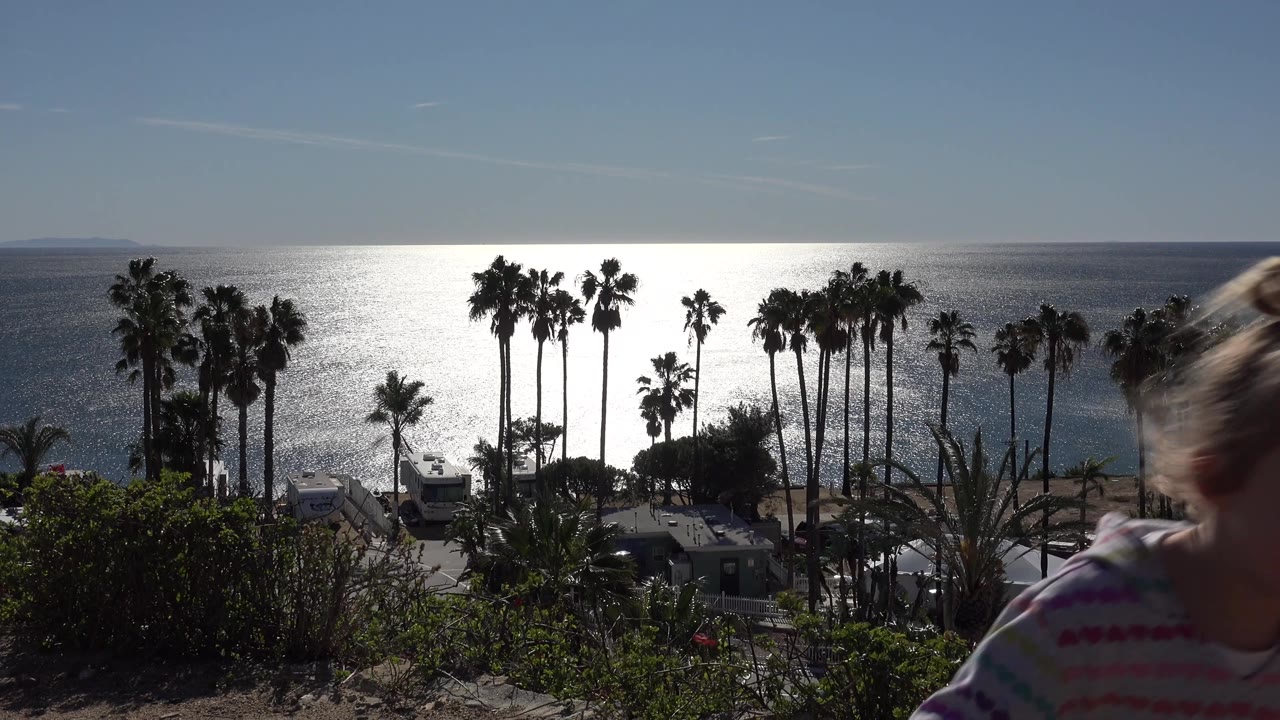 In Malibu, California, the girl is cropped at the right edge as palm clusters, low buildings, shrubs, and a bright band of reflected sunlight on the sea dominate the view.