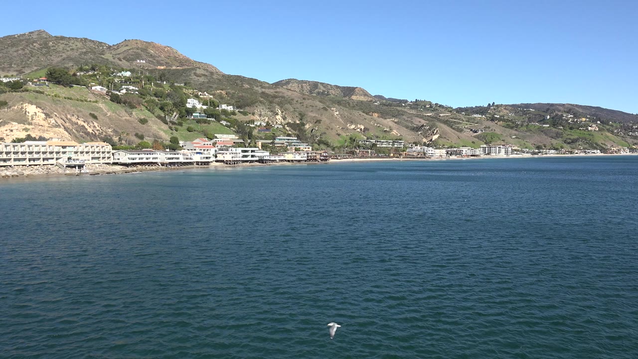 Malibu, California shoreline seen across blue water, with hillside homes, white waterfront buildings, a clear sky, a white bird near the lower frame, and no visible people.