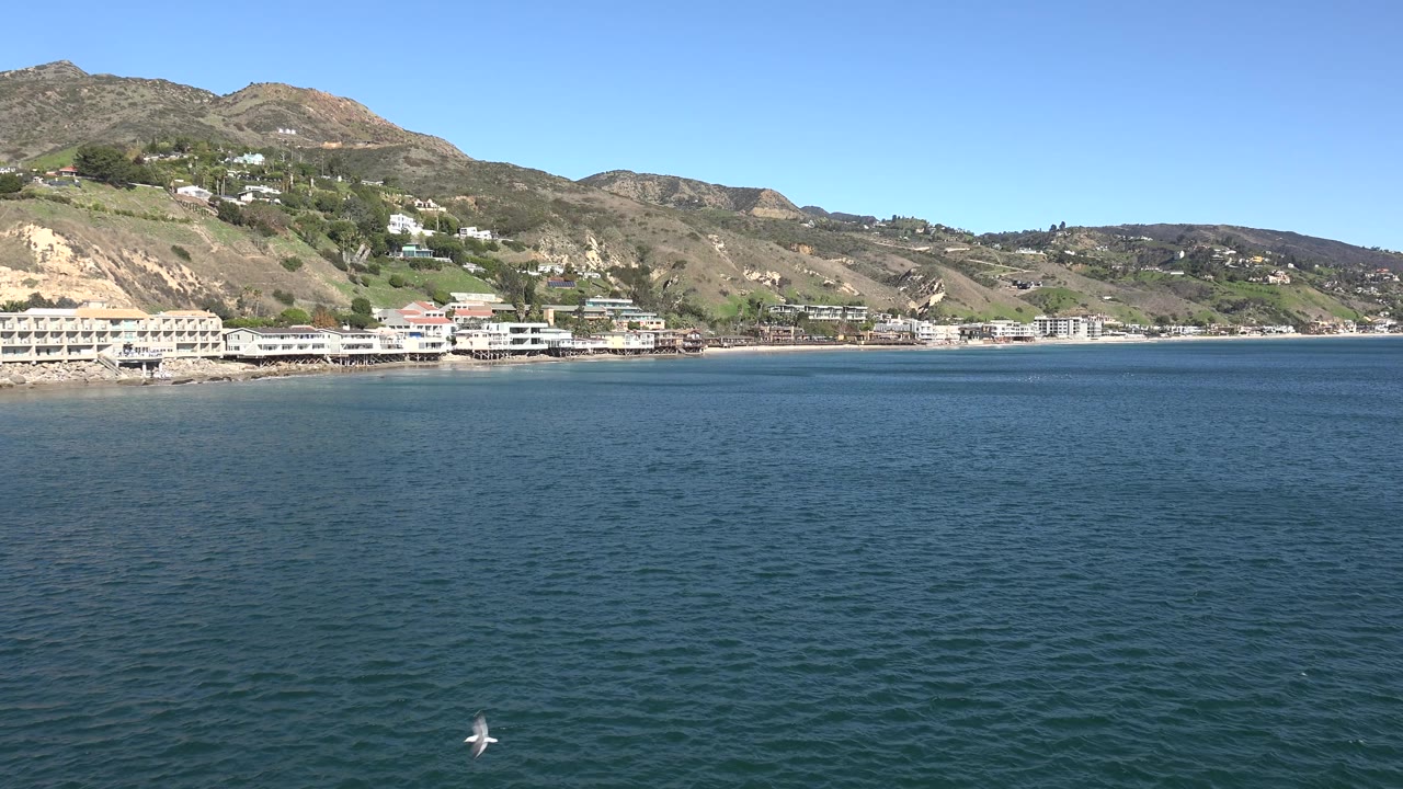 The Malibu coast stretches across the background while a white bird passes near the lower right over rippled blue water, with hillside homes and no visible people.