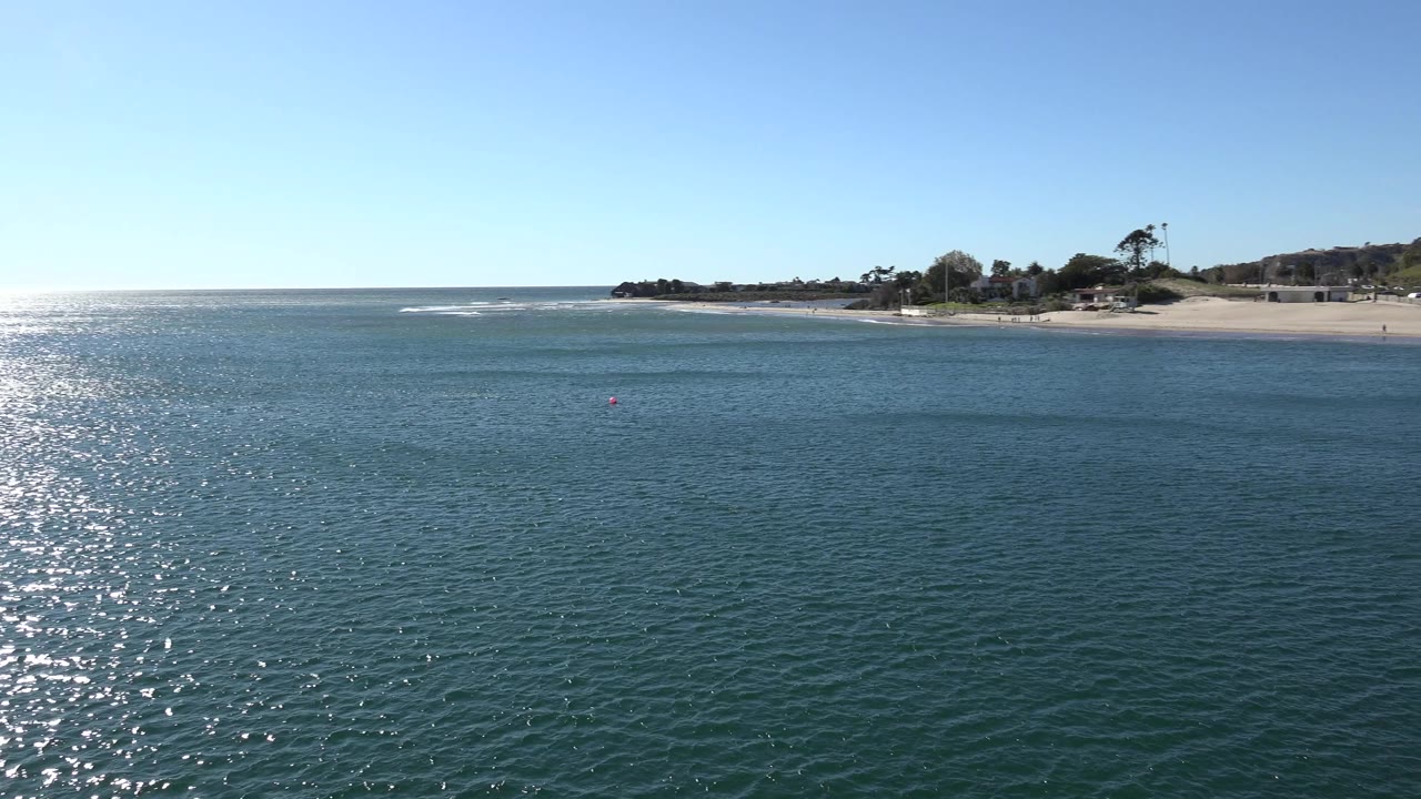 Wide Malibu coastal view with blue-green water in the foreground, a sandy beach and palm-lined shoreline in the distance, bright sky above, and no visible people.