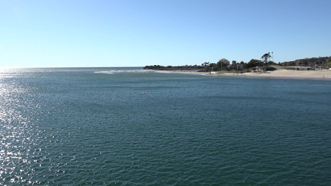 Sunlit ocean ripples with distant beach and palms