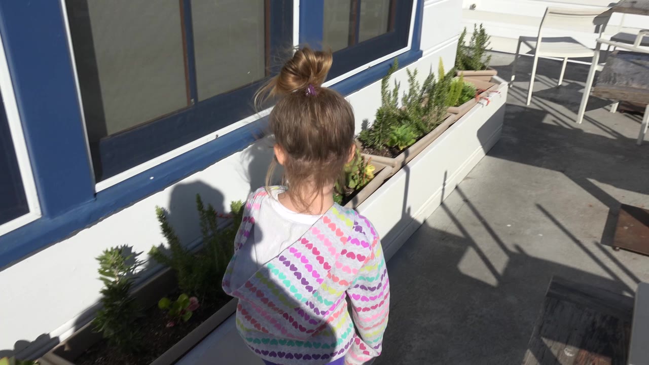 In Malibu, California, a young girl seen from behind stands close to a white planter under blue-trimmed windows, with patio chairs and hard shadows in the background.