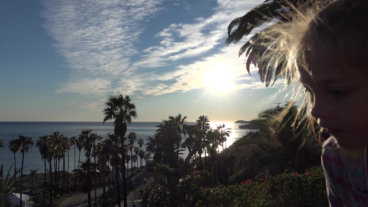 A young blond girl appears at the right edge of the Malibu ocean view, backlit by bright sun with palm trees behind her.