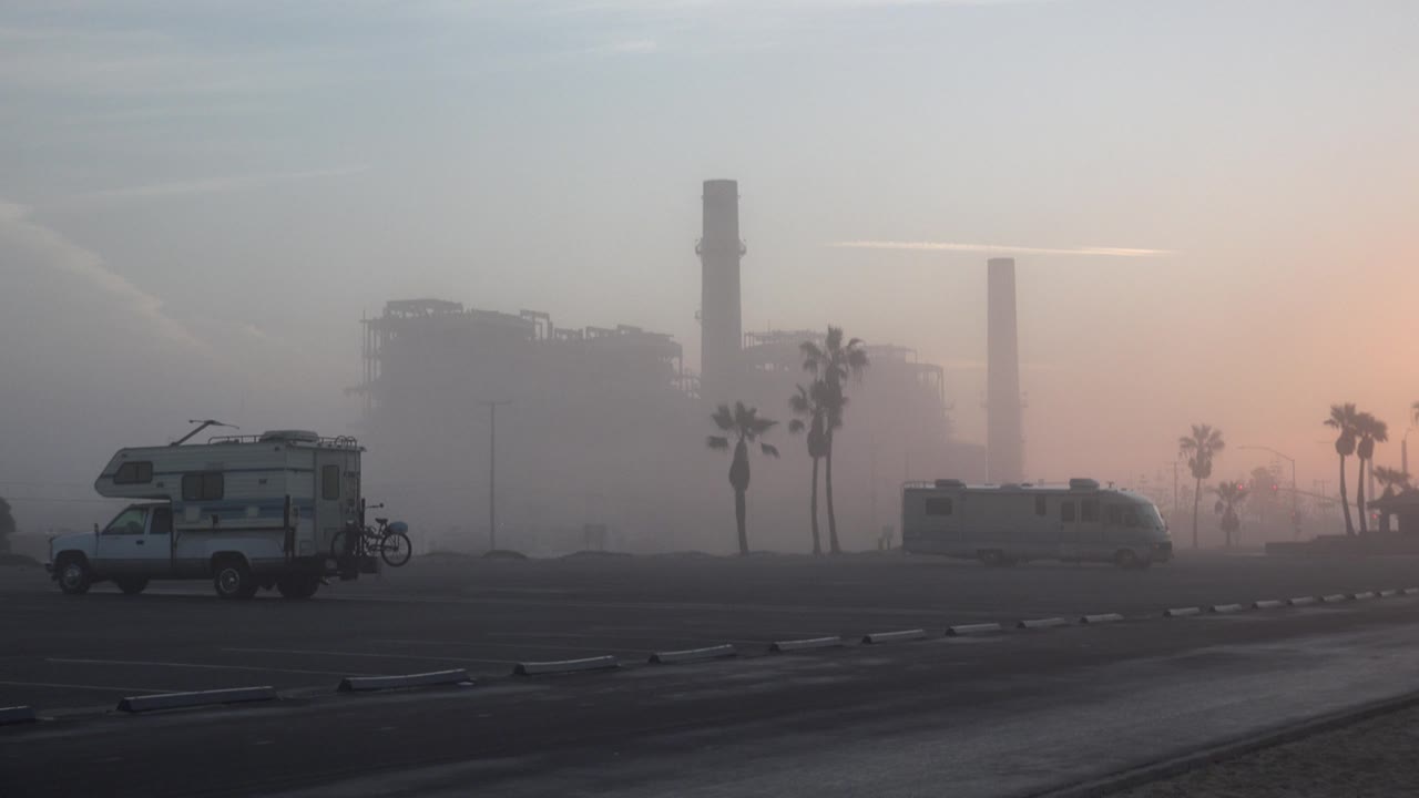 Camper and RV parked near palms under hazy light.