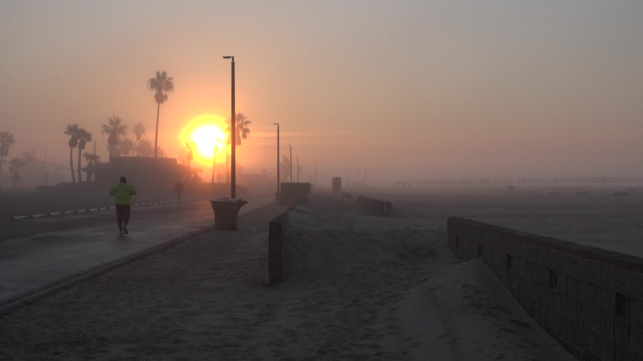 Runner on a sandy beach path near a low sun and palm trees.
