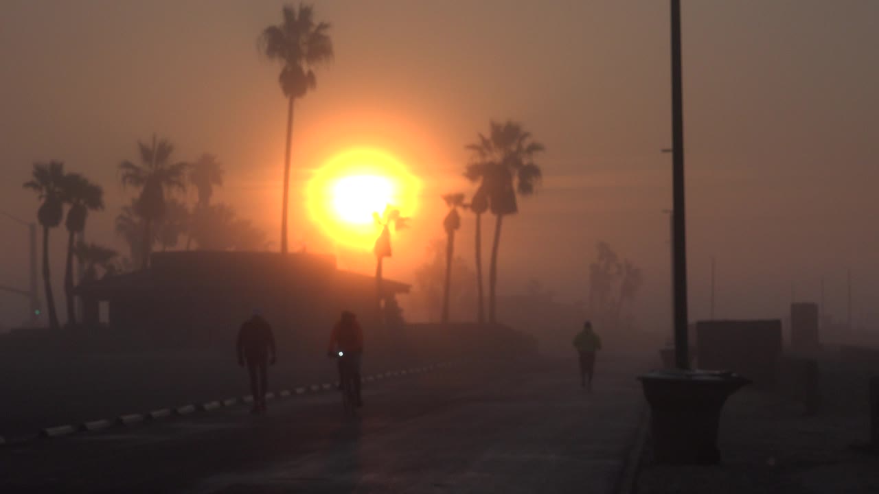 Orange sun behind smog and palm silhouettes over a dark path.