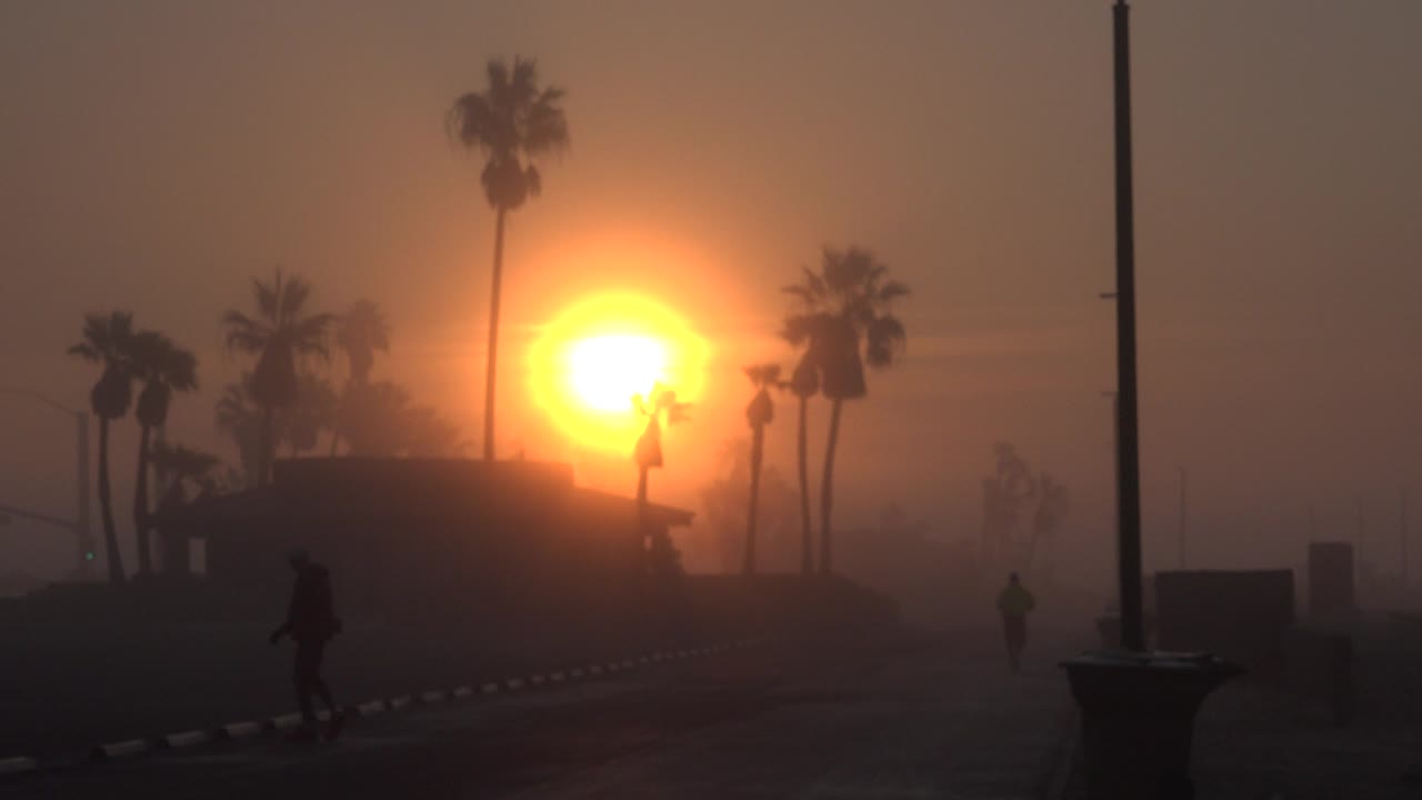 Low orange sun behind palm trees on a hazy beach path.