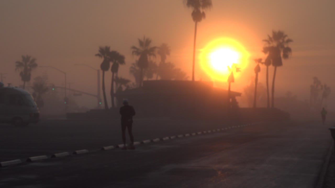 Hazy sunset behind palm trees with silhouetted people on a dark walkway.