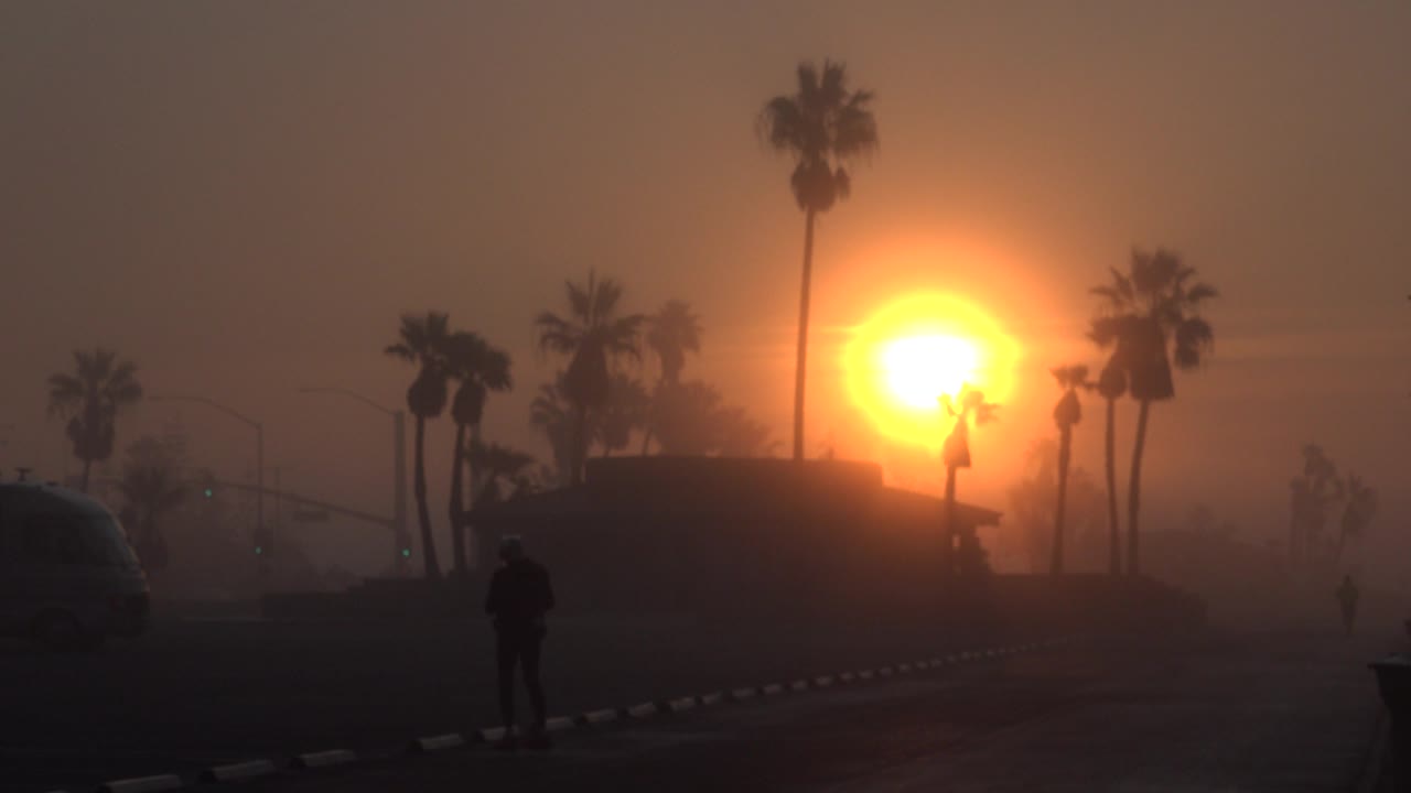 Empty road scene with a silhouetted person, palms, haze, and bright sunset.