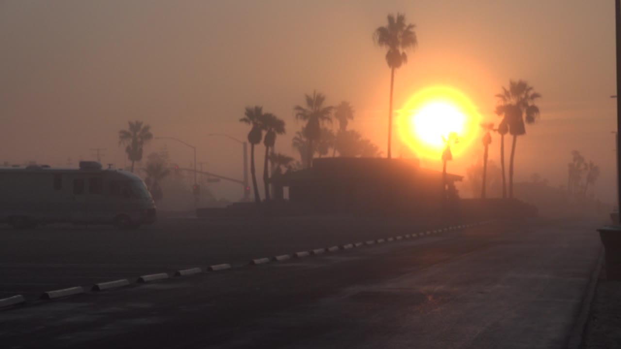 Hazy sunset with palm trees, curb, and a vehicle at left.