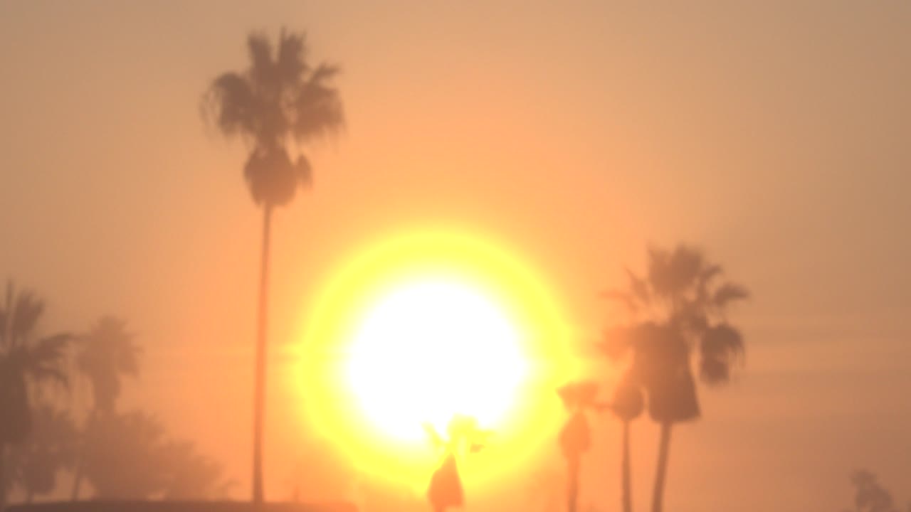 The sun remains centered and blown out in the Huntington Beach frame, with a tall palm trunk left of center and softer palm shapes around the lower edge, no visible people.