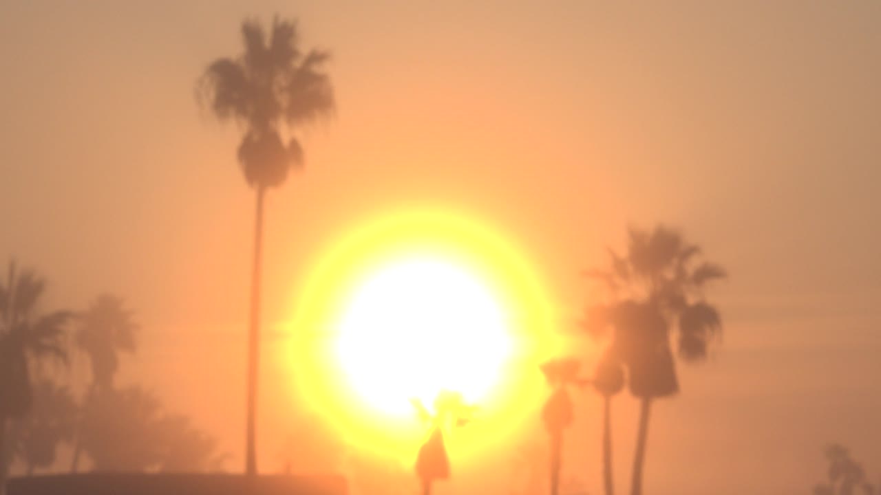 Huge glowing sun with palm trees at both sides of the frame.