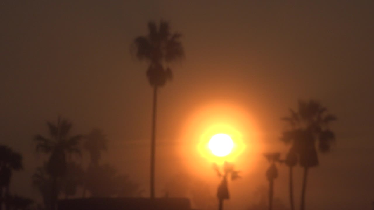 Bright orange sun glows low behind palm silhouettes in Huntington Beach, California, with a hazy dusk sky and no visible people.