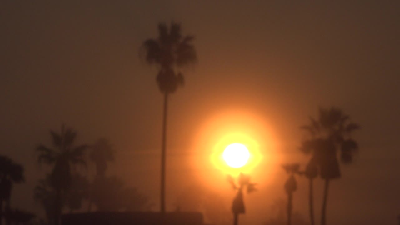 The sun remains low and bright near the center of the Huntington Beach frame, with tall palms silhouetted against the orange haze and no visible people.
