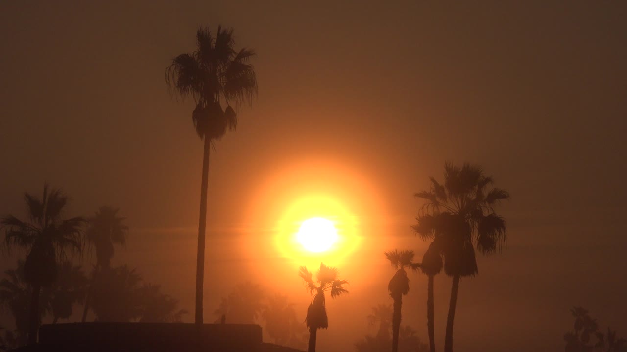 At 0:00, the sun glows low behind palm silhouettes in Huntington Beach, California, with a dark roofline at the bottom and no visible people.