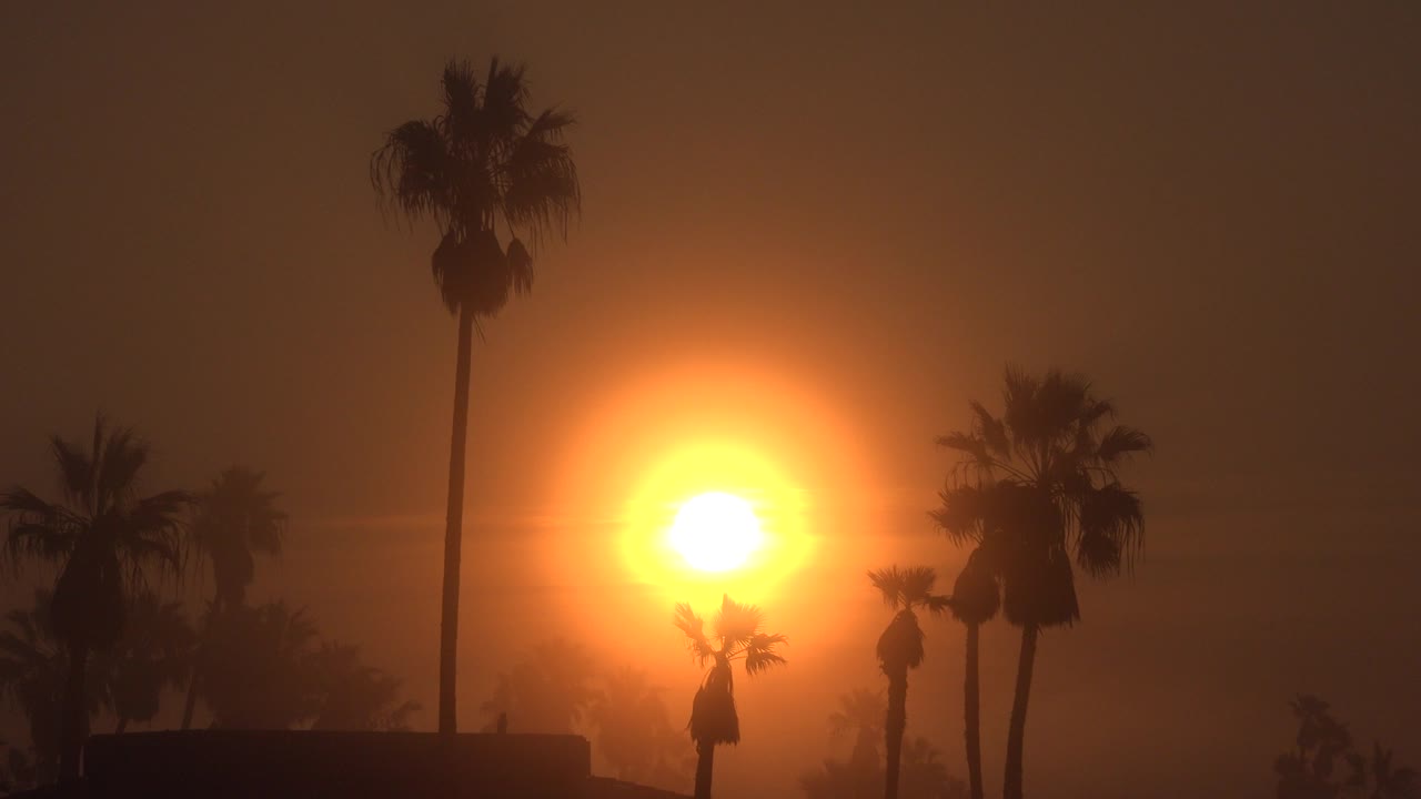 At 0:01, the bright sun remains near center behind tall and shorter palm silhouettes in Huntington Beach, California, with no visible people.
