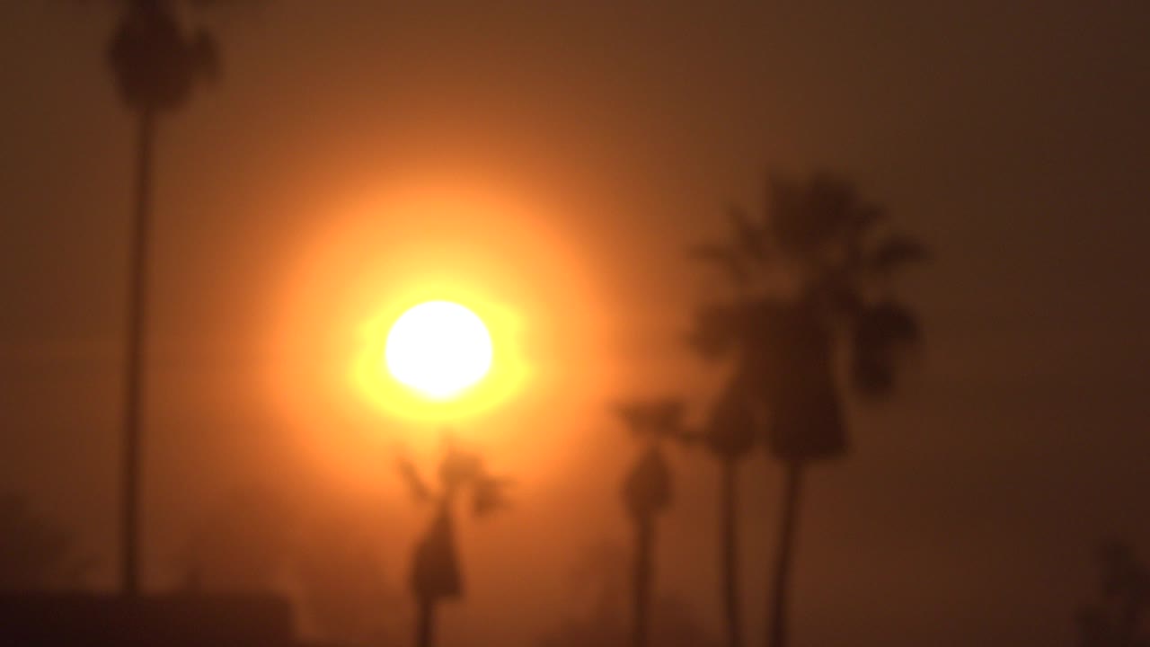 Bright orange sun over Huntington Beach with blurred palm silhouettes around it and no visible people.