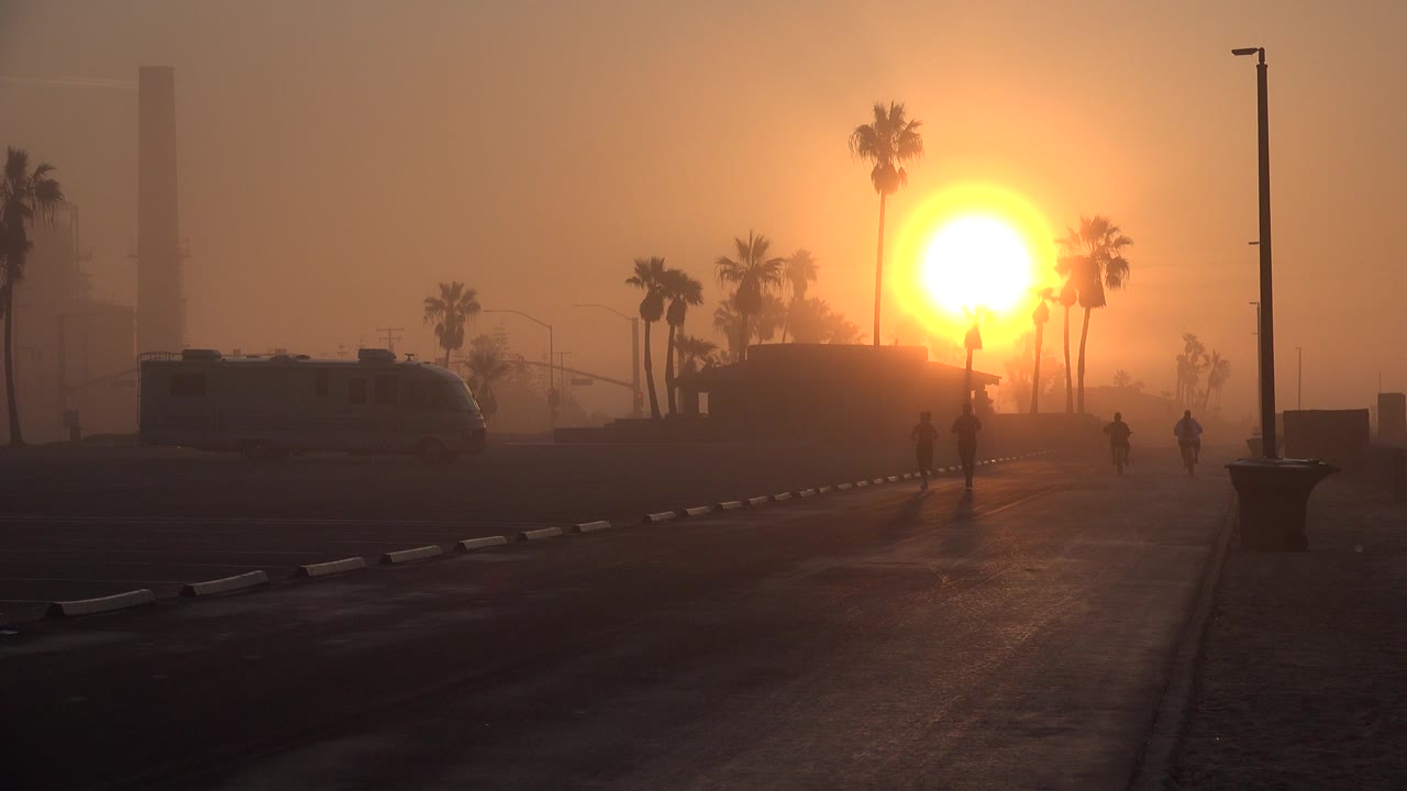 Hazy sunrise over palm trees with small people on a paved path.
