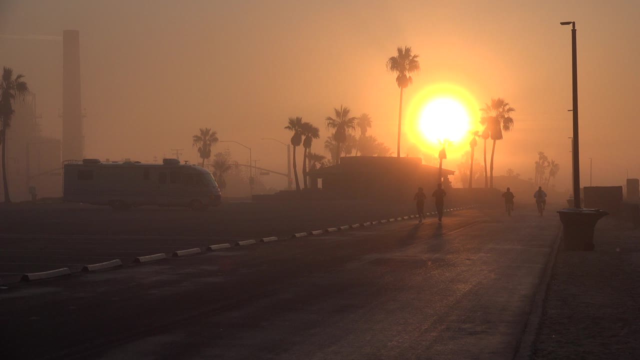 In Huntington Beach, the bright low sun sits behind palm trunks as silhouetted joggers and walkers continue along the hazy path.