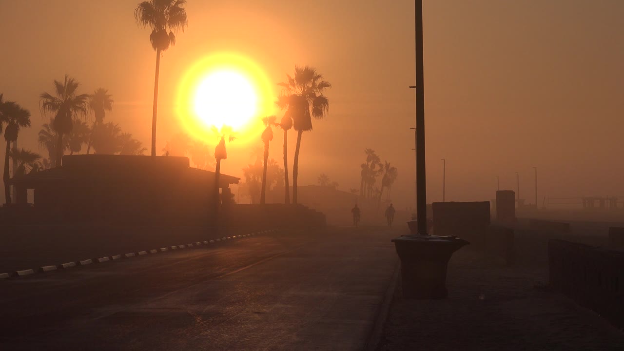 Palm tree silhouettes and empty pavement under intense orange sun
