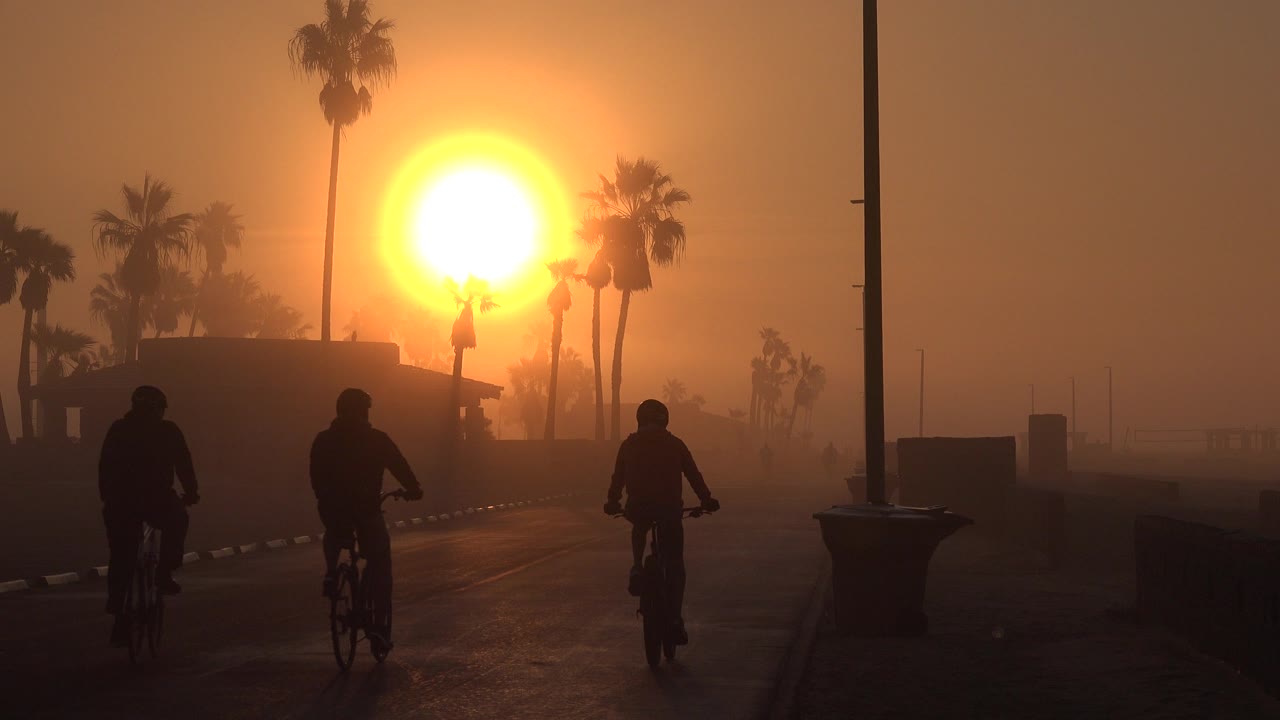 Three silhouetted cyclists ride toward palm trees under a large low sun.
