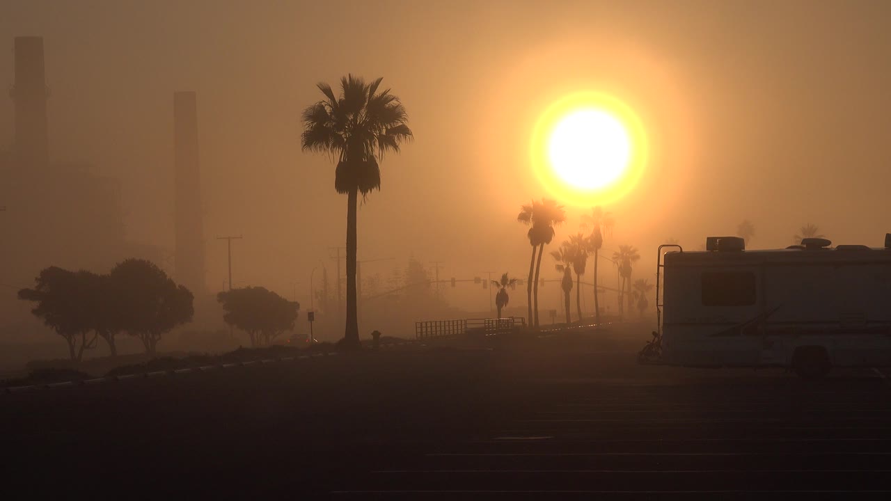 Bright sunrise over palm trees and a hazy street with an RV silhouette.